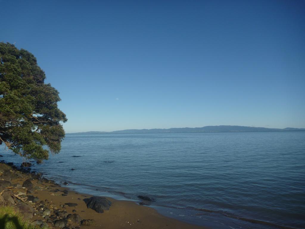 Pohutukawa Coast Bnb Te Puru Luaran gambar