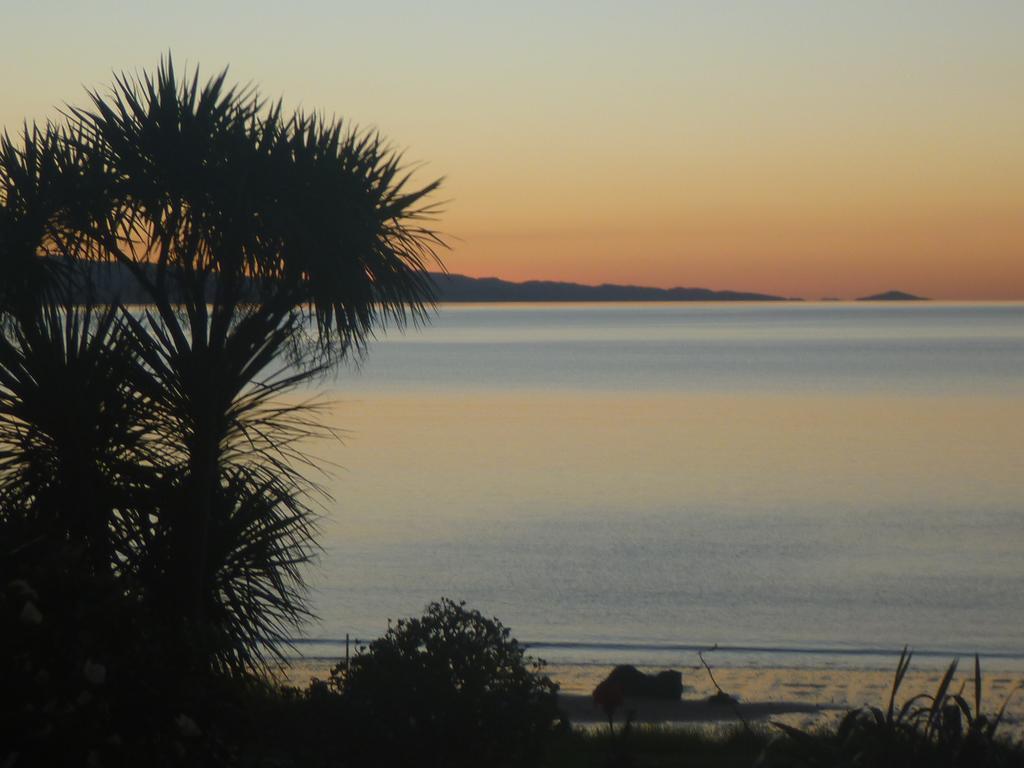 Pohutukawa Coast Bnb Te Puru Luaran gambar