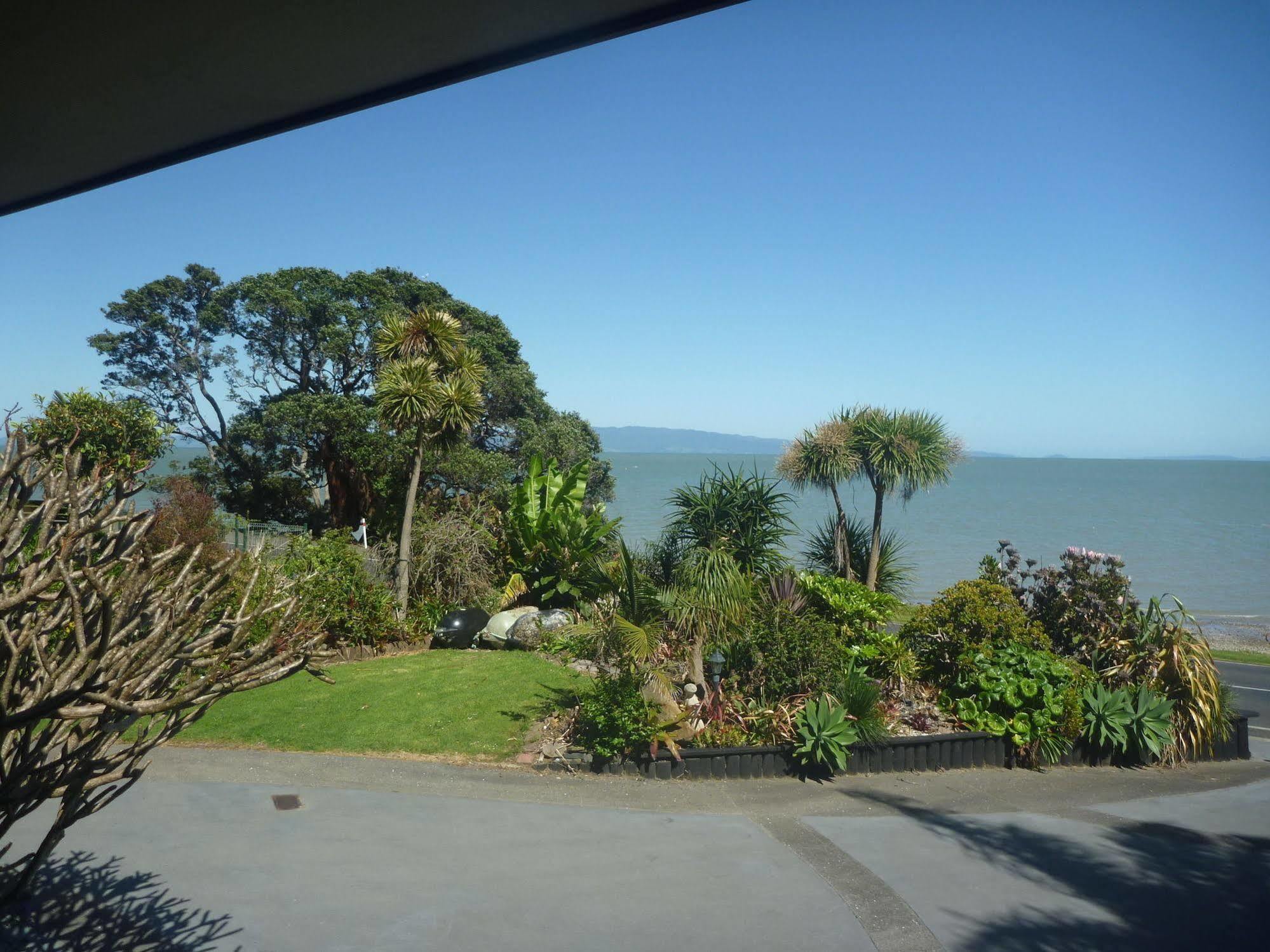 Pohutukawa Coast Bnb Te Puru Luaran gambar